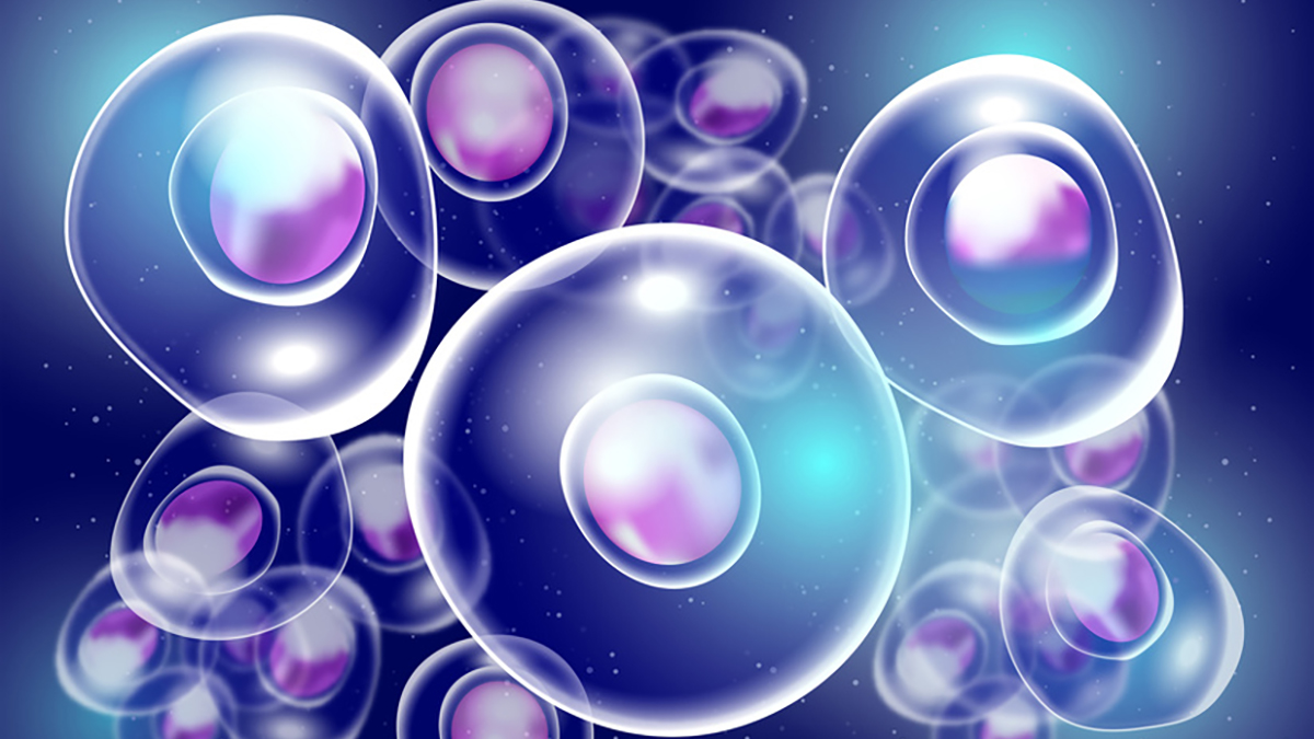 Bild Drug Development 3 Day Course2024 1200x675px